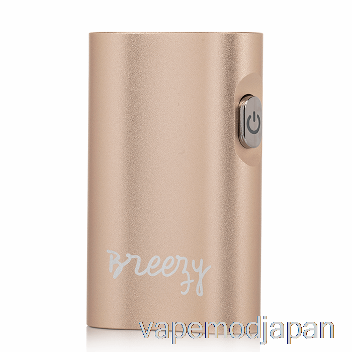 VAPE JAPAN ザ・カインド ペン ブリージー 510 バッテリー ゴールド